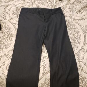 Dress pants
